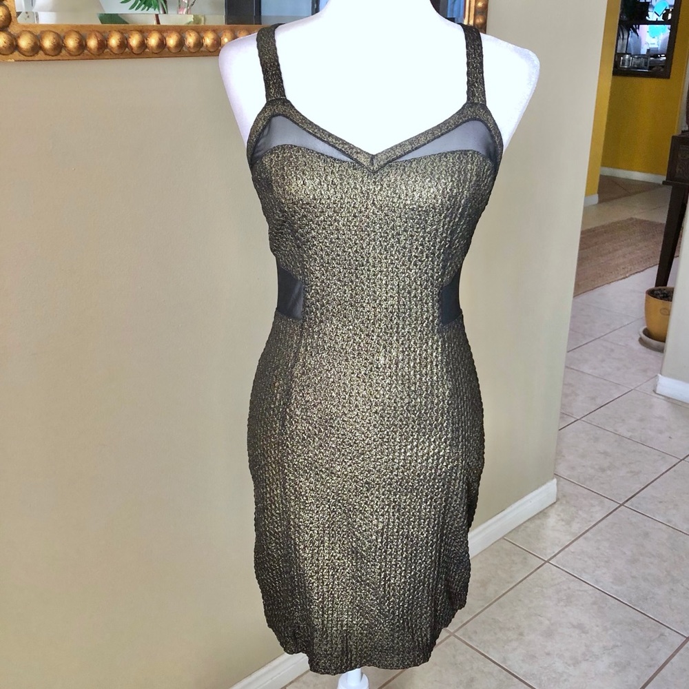 Express Black Mesh and Metallic Gold Sleeveless Dress